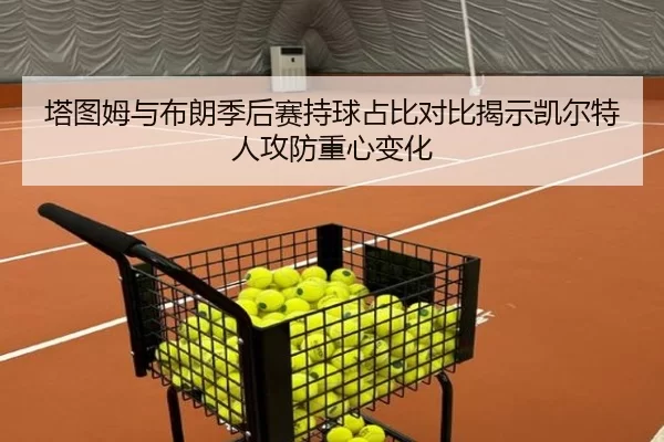 塔图姆与布朗季后赛持球占比对比揭示凯尔特人攻防重心变化